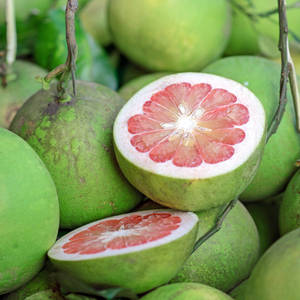 Pomelo Thick Green Wallpaper