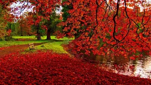 Pond Fall Desktop Wallpaper
