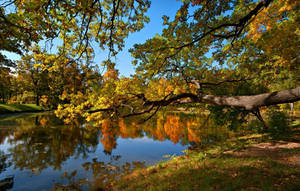 Pond Landscape In Fall Wallpaper