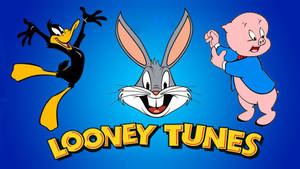 Porky Pig, Bugs Bunny And Daffy Duck Wallpaper