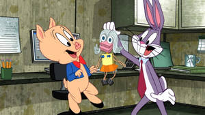 Porky Pig Bugs Bunny Looney Tunes Wallpaper