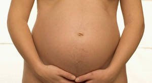 Pregnant Belly White Background Mother Wallpaper