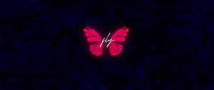 Pretty Aesthetic Fly Butterfly For Computer Wallpaper