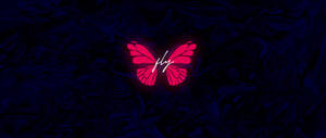 Pretty Aesthetic Fly Butterfly For Computer Wallpaper