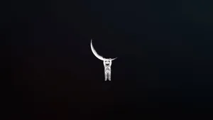 Pretty Black Astronaut Hanging Wallpaper