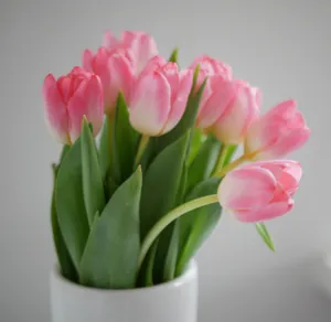 Pretty Pink Tulips White Ceramic Vase Wallpaper