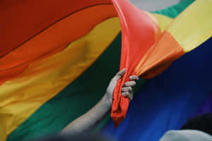 Pride_ Flag_ Handheld_in_ Celebration.jpg Wallpaper