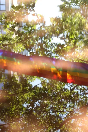 Pride Month_ Rainbow Reflections.jpg Wallpaper