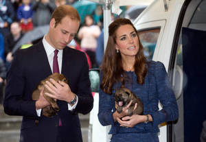 Prince William And Kate Holding Puppies Wallpaper