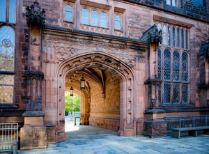 Princeton University Brick Entrance Hall Wallpaper