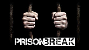 Prison Break Wallpaper