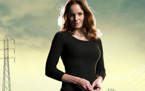 Prison Break Sarah Wayne Callies Wallpaper