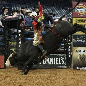 Pro Rider On Bull Riding Show Wallpaper