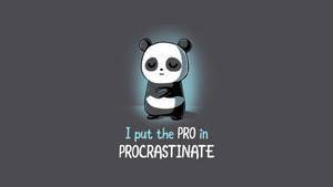 Procrastinate Panda Humor Wallpaper