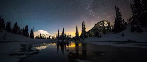Pure Bliss In Nature Wallpaper