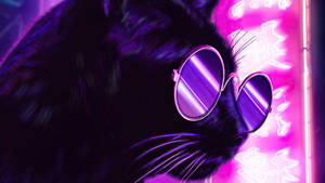 Purple Aesthetic Black Cat Wallpaper
