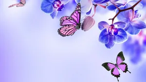 Purple Aesthetic Butterflies On Flowers For Computer Wallpaper