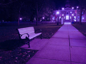 Purple Aesthetic Park Bench Wallpaper