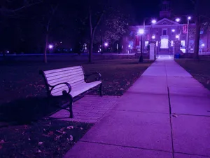 Purple Aesthetic Park Bench Wallpaper