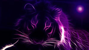 Purple Aesthetic Tiger Digital Art Wallpaper