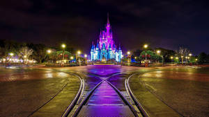 Purple And Blue Disneyland Castle Wallpaper