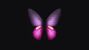 Purple And Cute Pink Butterfly Wallpaper