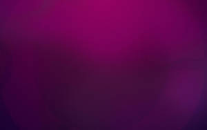 Purple And Magenta Gradient Color Wallpaper