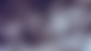 Purple Blurred Spots Wallpaper