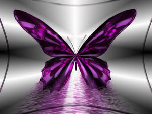 Purple Butterfly 3d Art Wallpaper