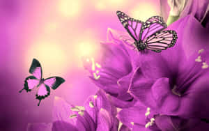 Purple_ Butterfly_ Fantasy Wallpaper