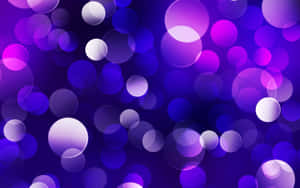 Purple Cool Transparent Circle Wallpaper