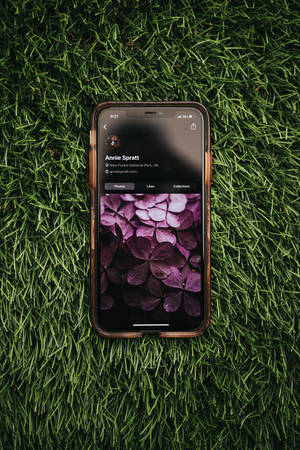 Purple Flowers On Ios Iphone Wallpaper