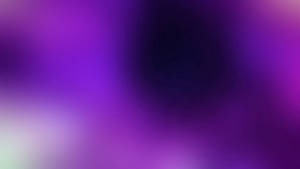 Purple Gradient Abstract Art Wallpaper