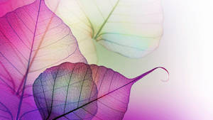 Purple Leaf Venation Pattern Wallpaper