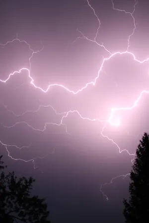 Purple Lightning Near Trees Wallpaper