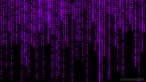 Purple Matrix Wallpapers Hd Wallpapers Wallpaper