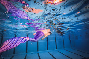 Purple Mermaid On Pool Wallpaper