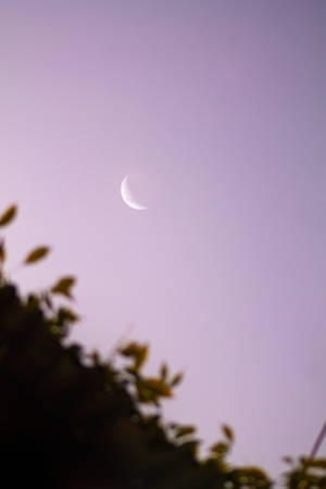 Purple Pastel Aesthetic Crescent Moon Wallpaper