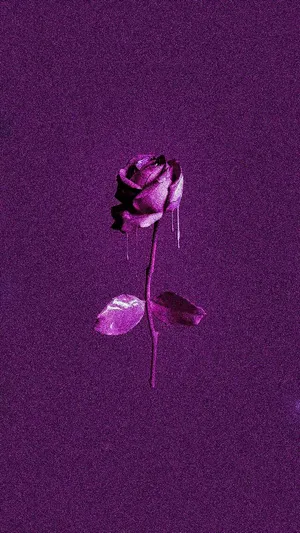 Purple Rose Grainy Drip Art Wallpaper