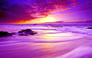 Purple Sea Sunset Wallpaper