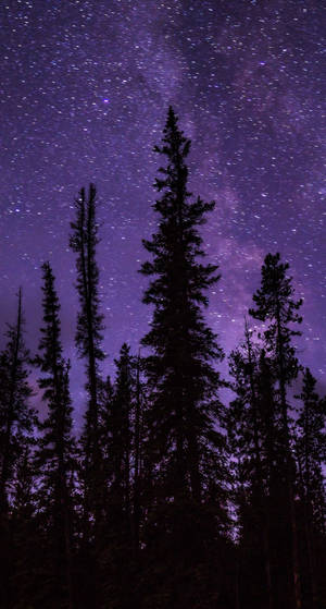 Purple Sky Galaxy And Trees Iphone Wallpaper