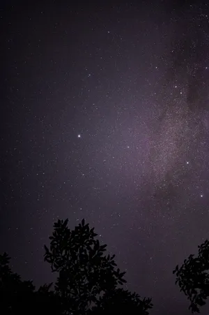 Purple Starry Night Wallpaper