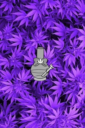 Purple Stoner Phone Wallpaper