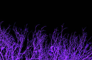 Purple Tree Branches Wallpaper