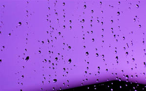Purple Windows After Rain Wallpaper