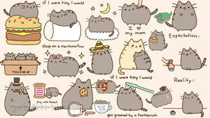 Pusheen The Cat Stickers Wallpaper