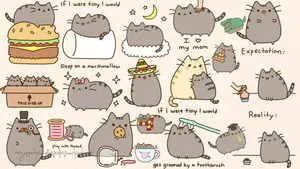 Pusheen The Cat Stickers Wallpaper