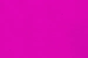 Put Some Bright Neon Pink In Your Life Wallpaper