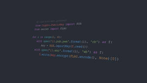 Python Program Coding Wallpaper