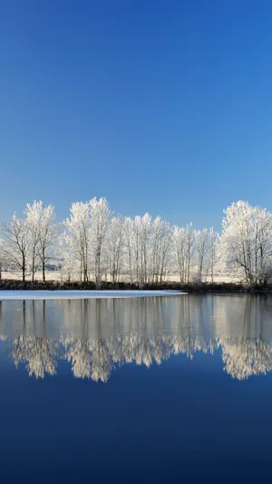 Quiet Winter Scenery Wallpaper